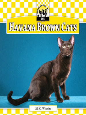 cover image of Havana Brown Cats